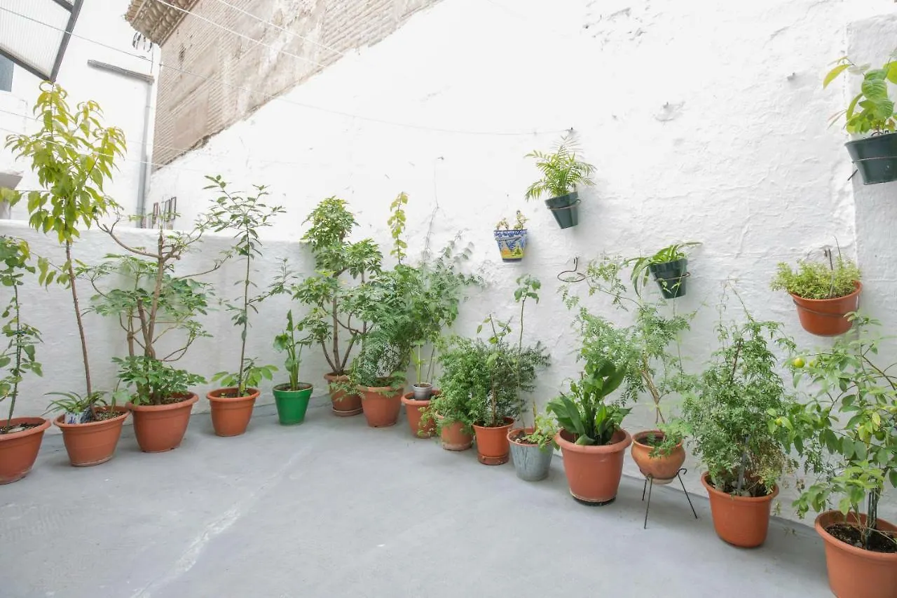 Apartamento Albaycin Granada España